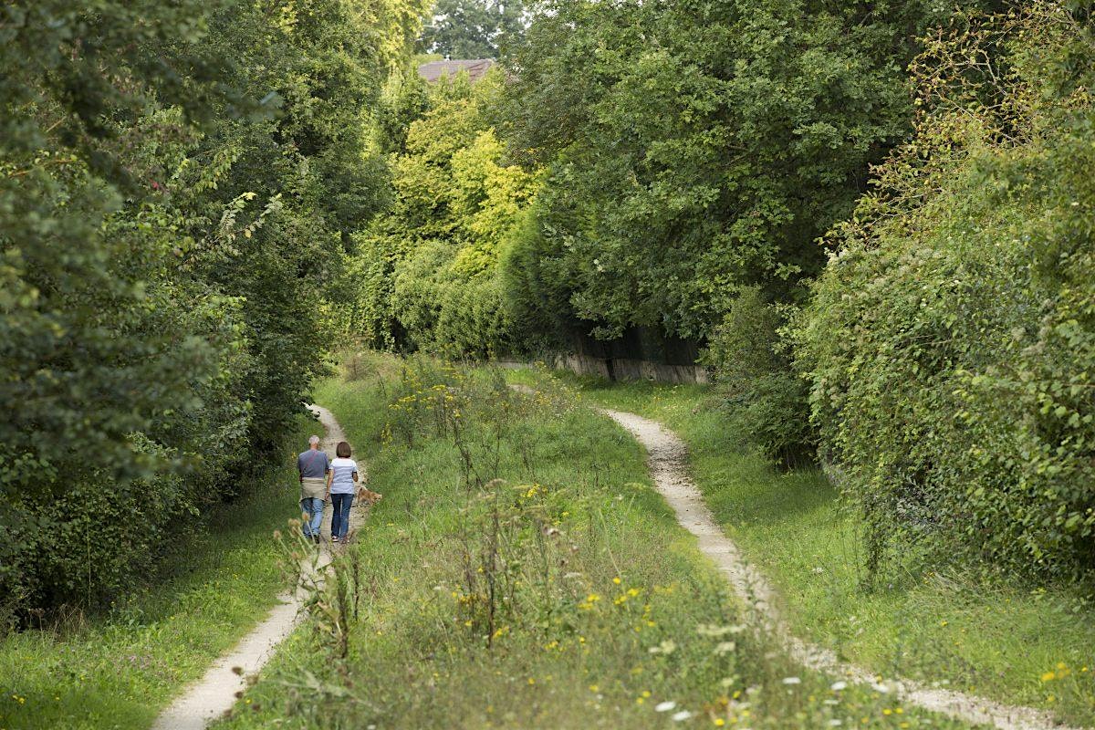 De l'Ourcq à la Marne, sur le dos de la Dhuys