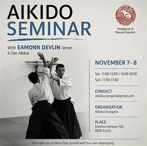 Aikido Seminar with Eamonn Devlin Sensei, 6th Dan Aikikai | Zürich