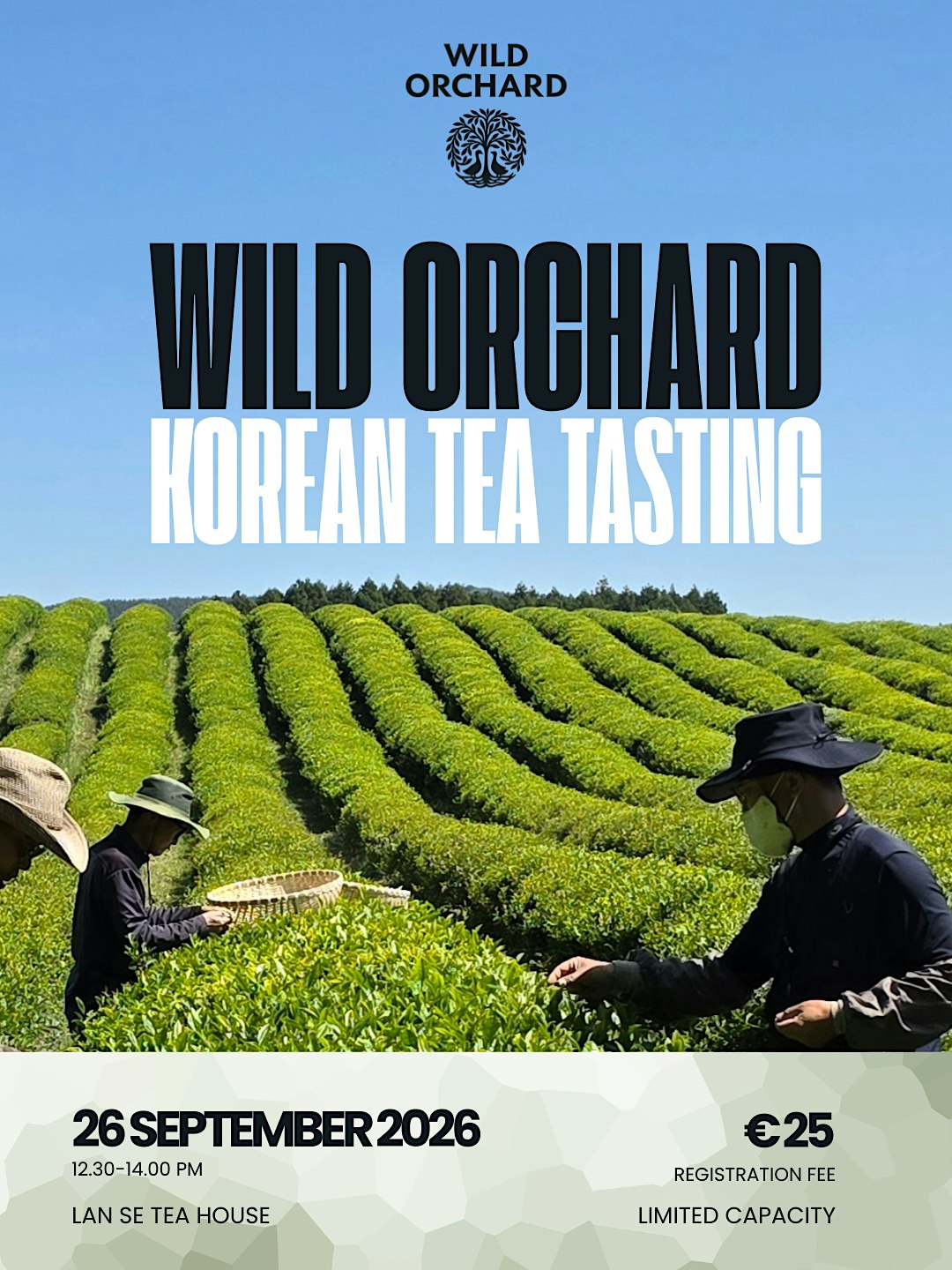Wild Orchard: Korean Tea Tasting
