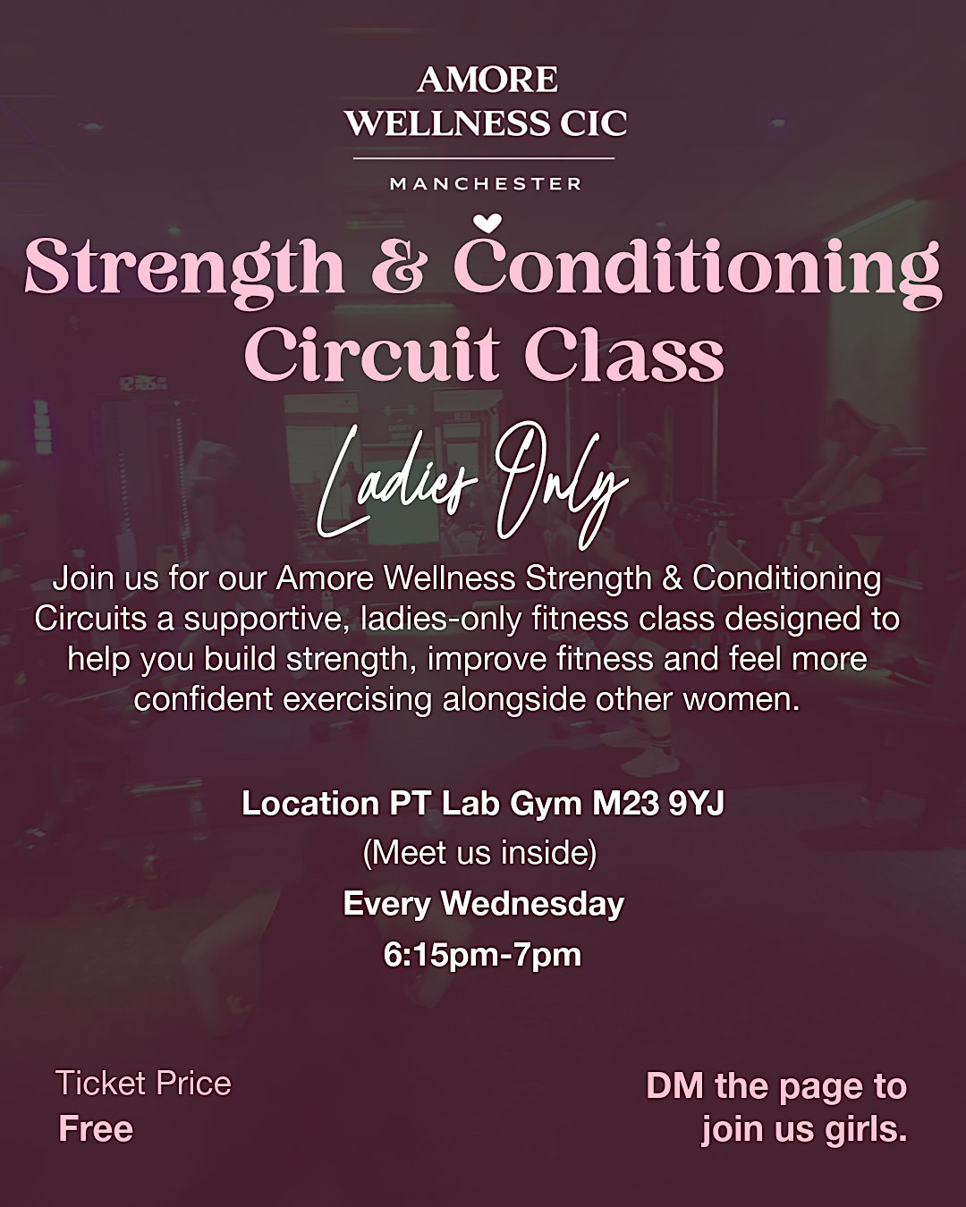 Amore Wellness strength and conditioning circuit