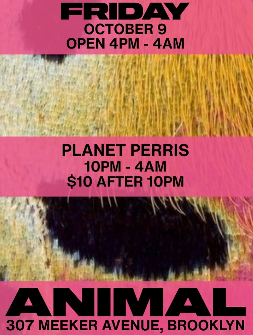 ANIMAL Friday Night w/ planetperris