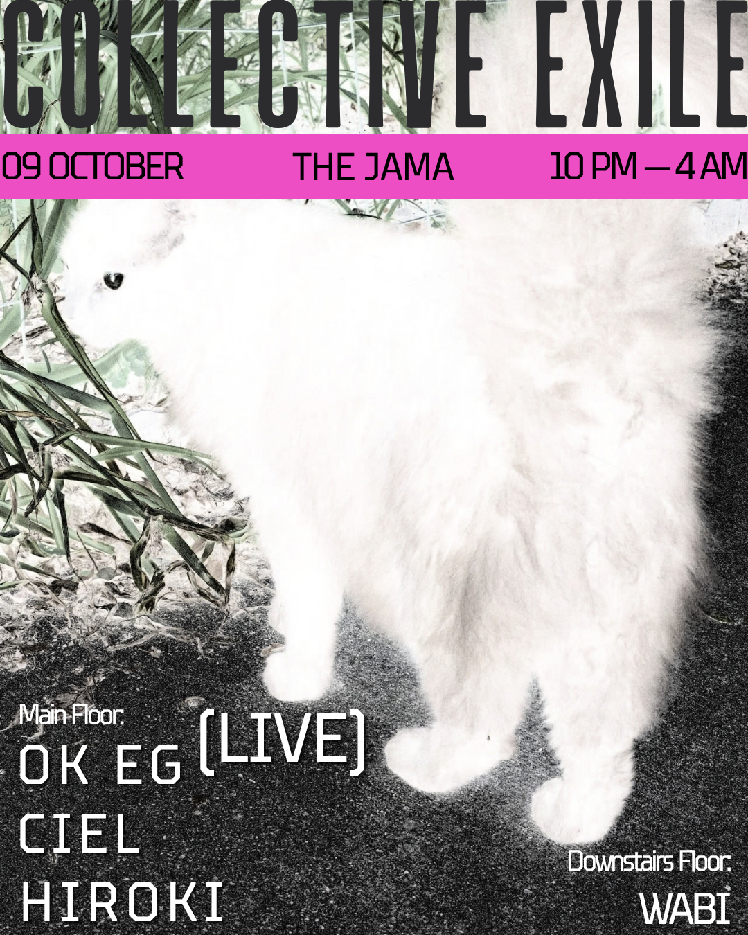 Night IV by Exile: OK EG / Ciel / Hiroki / WABI Collective