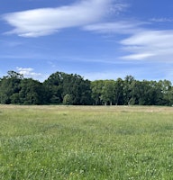 Healthy Back at Treptower park