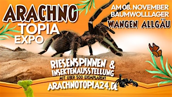 Riesenspinnen & Insektenausstellung - Wangen im Allgäu