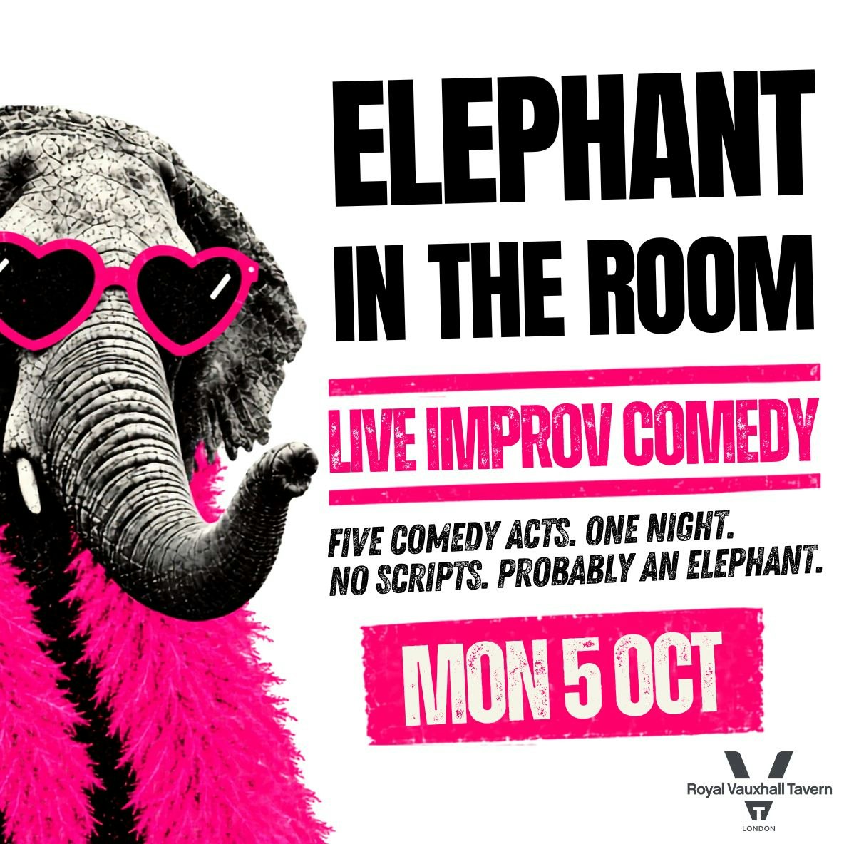 Elephant in the Room: Live Comedy Variety Show
