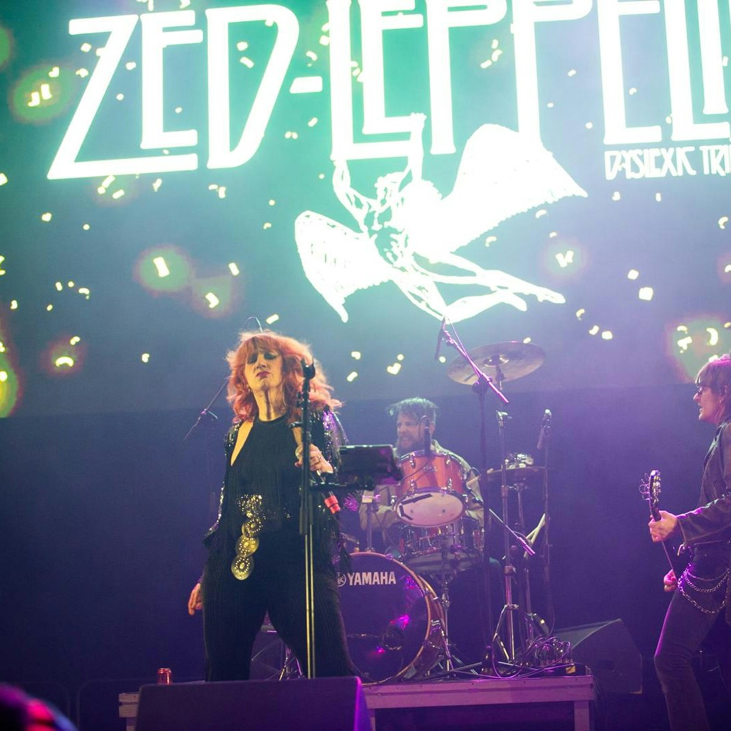 Zed Leppelin Dyslexic Tribute