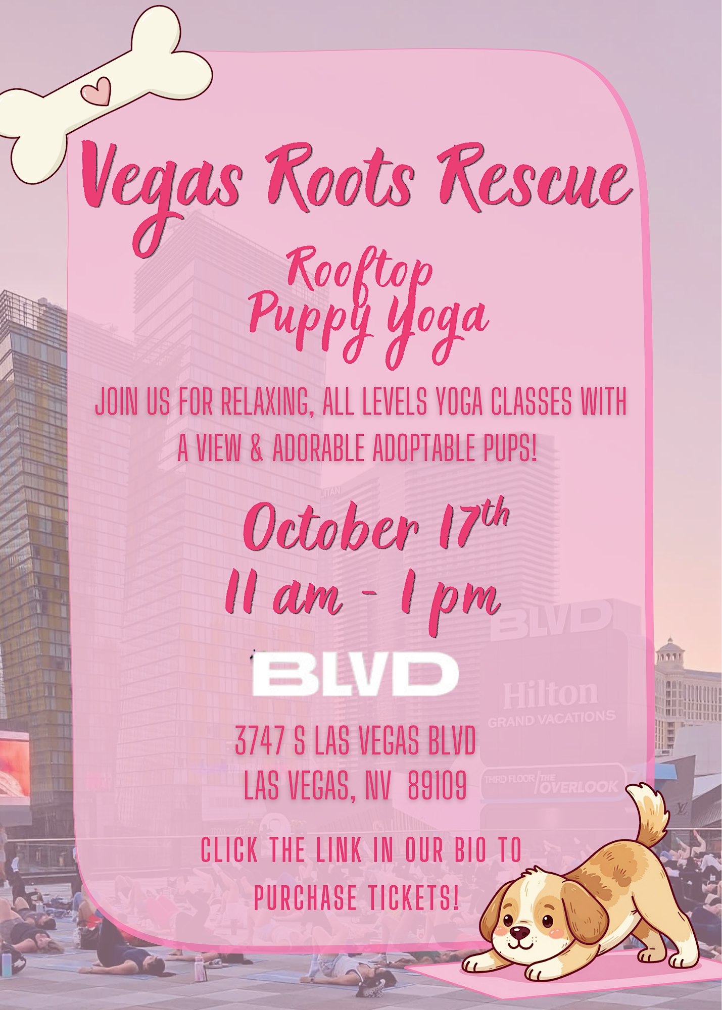 Rooftop Puppy Yoga at BLVD