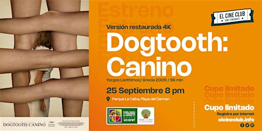 Dogtooth: Canino