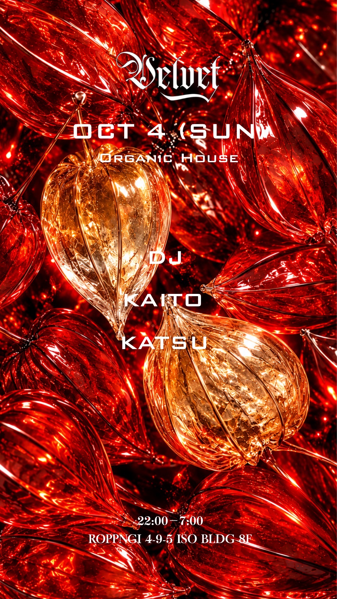 VELVET Lounge -Organic House-