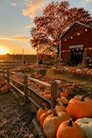 Pumpkin Painting + Tarot Readings at The Fern