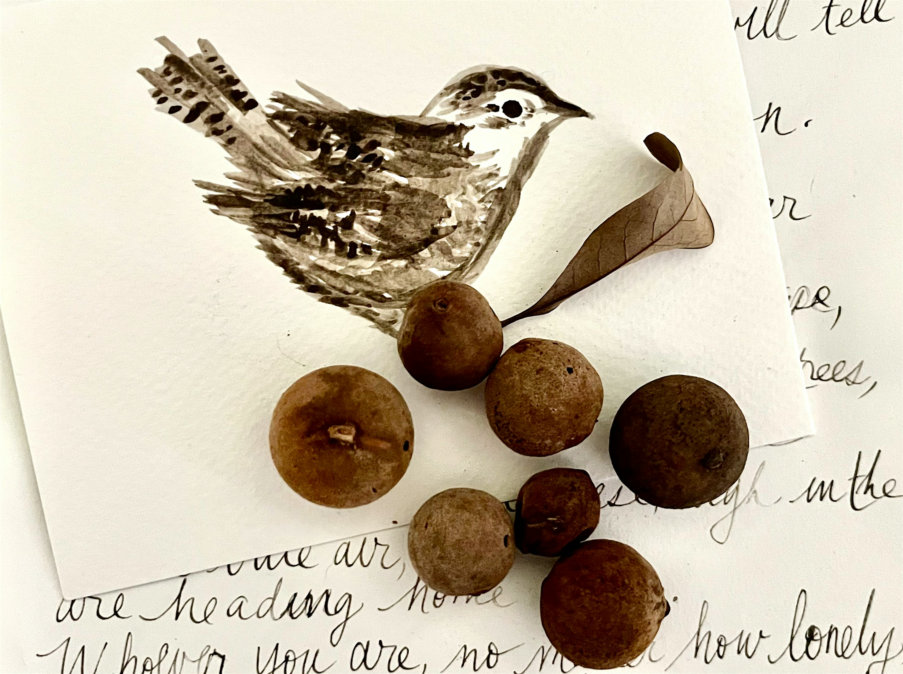 Ink Workshop (Scout Island Symbiotic)