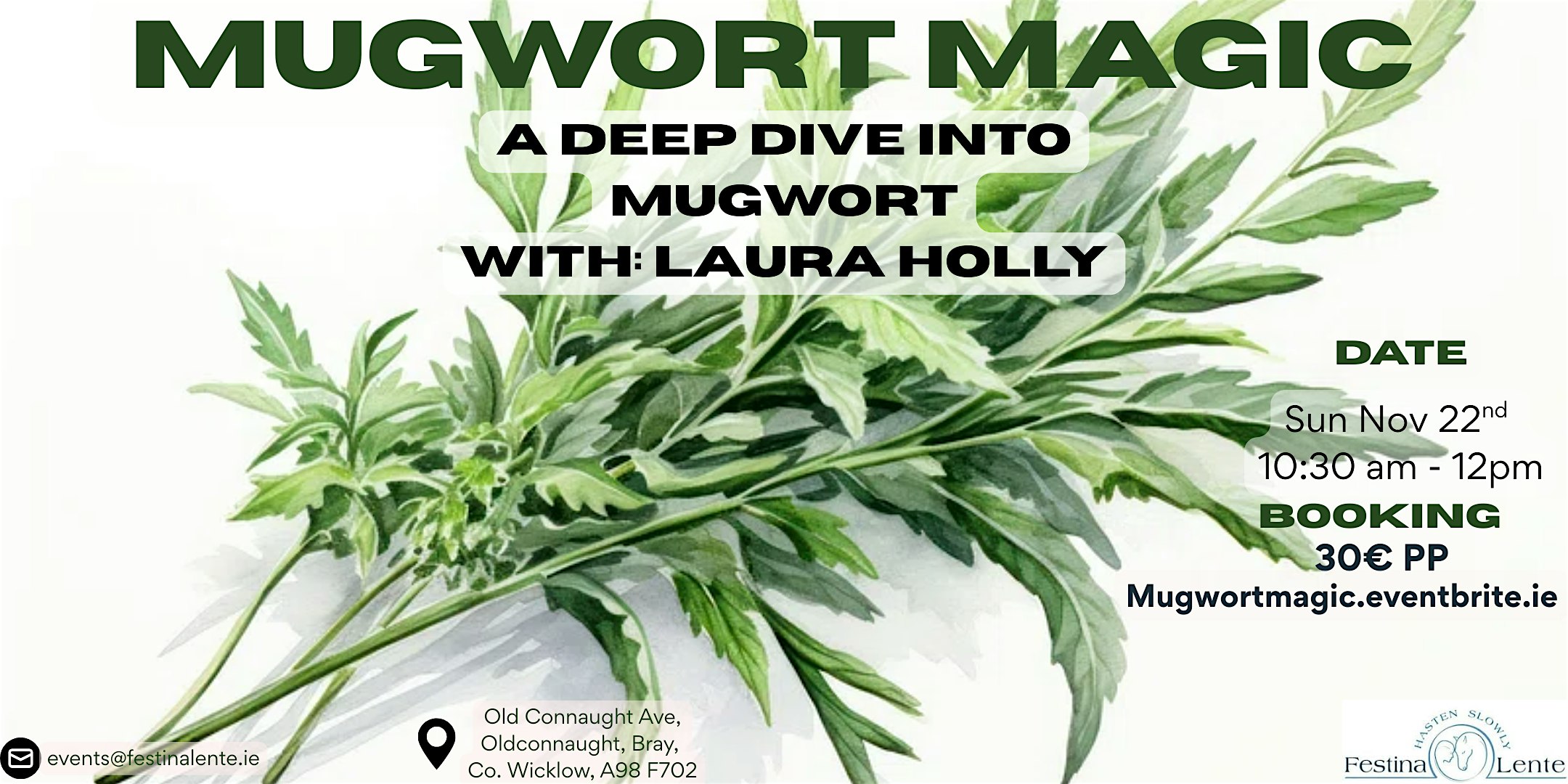Mugwort Magic: A Deep Dive into the powers of Mugwort