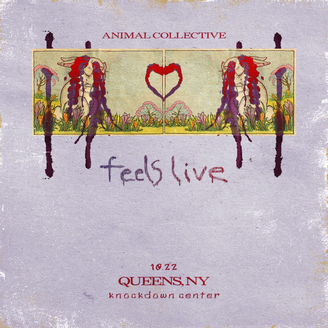 Animal Collective Performs Feels Live