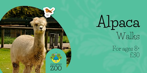 Alpaca Walks