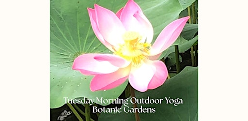 Tuesday Morning Outdoor Yoga (Beginners)@Botanic Gardens