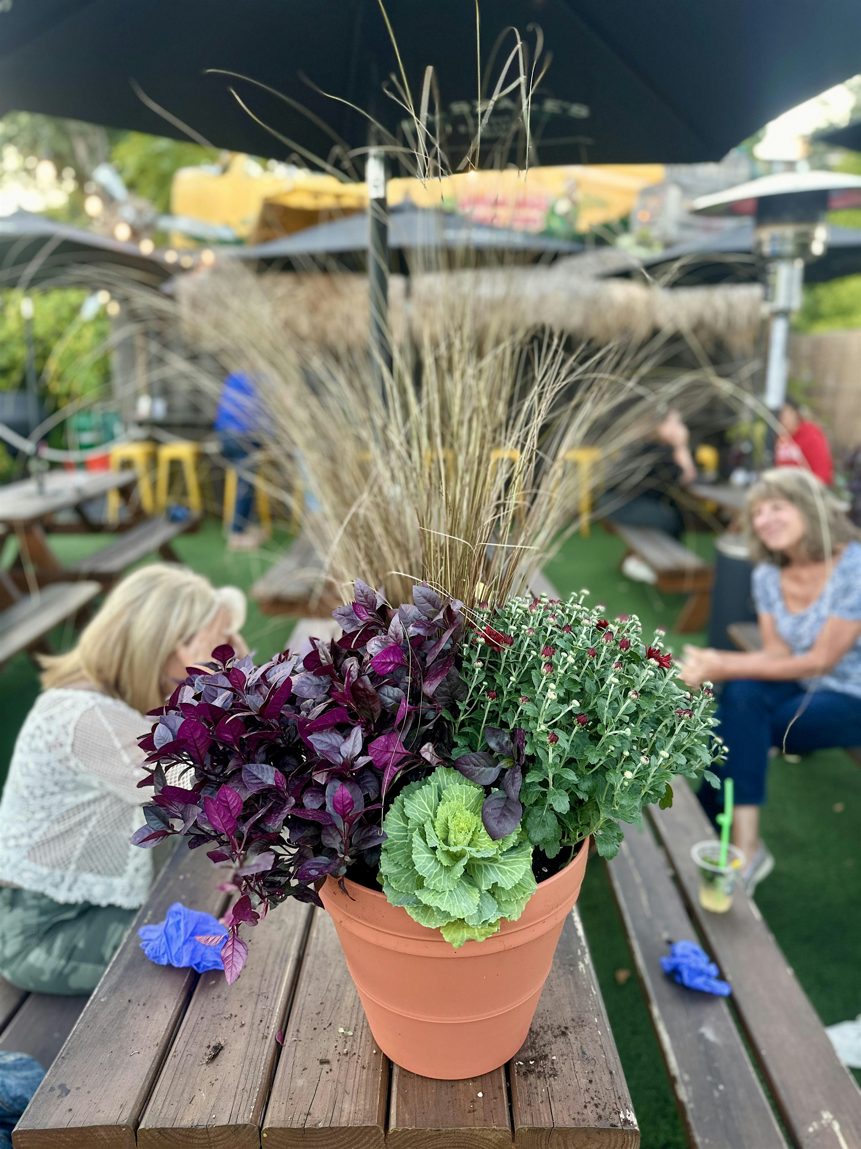 Fall Patio Pot Planting Workshop