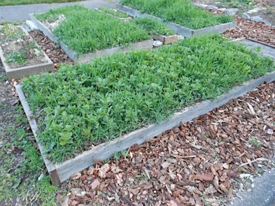 Fall/Winter Extending Season Gardening Class 10.17