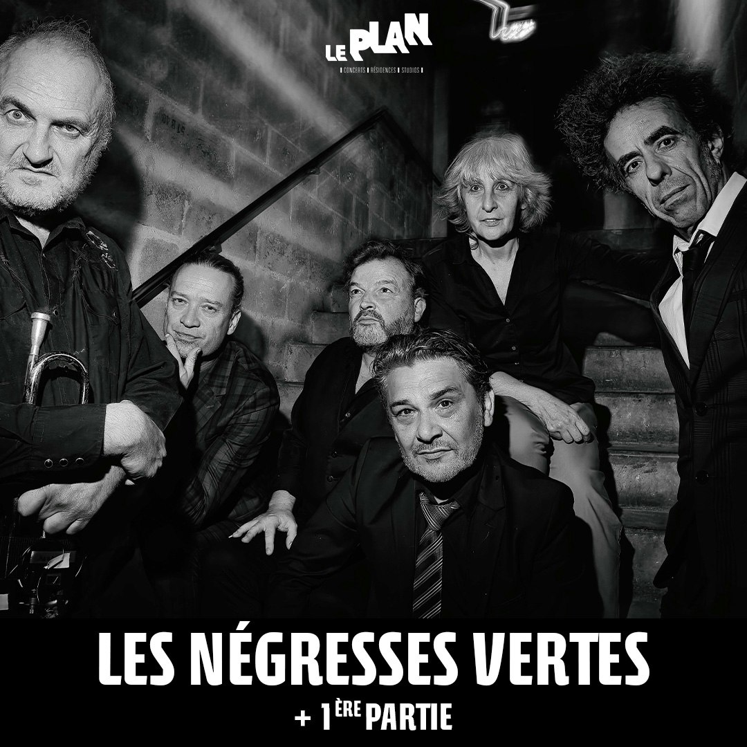 LES NEGRESSES VERTES