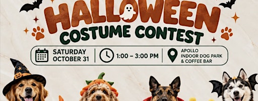 Apollo Halloween Dog Costume Contest and Social