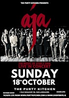 A Tribute to Steely Dan - Live at The Purty Kitchen Dún Laoghaire