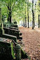 Un cimetière plein de vie ! / Een begraafplaats vol leven !