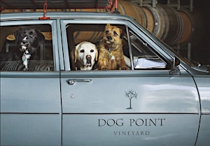 Discover Dog Point Vineyard