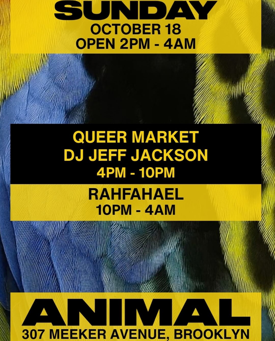 ANIMAL Sunday Market w/ DJ Jeff Jackson, RAHFAHAEL