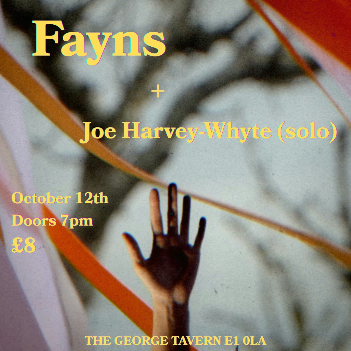 Fayns