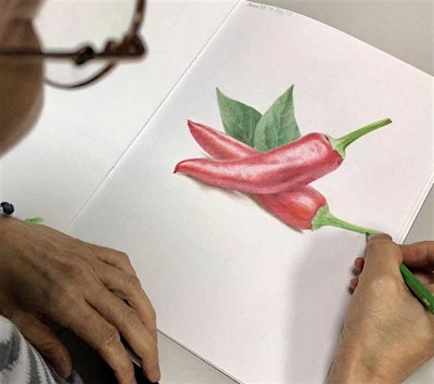 Coloured Pencil Drawing Course by Kuan