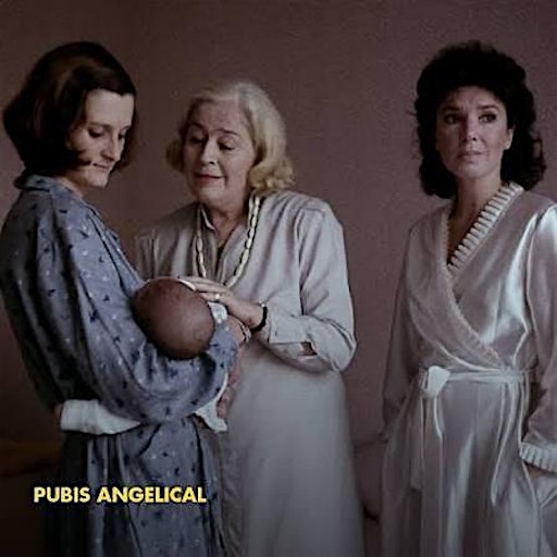 Pubis angelical