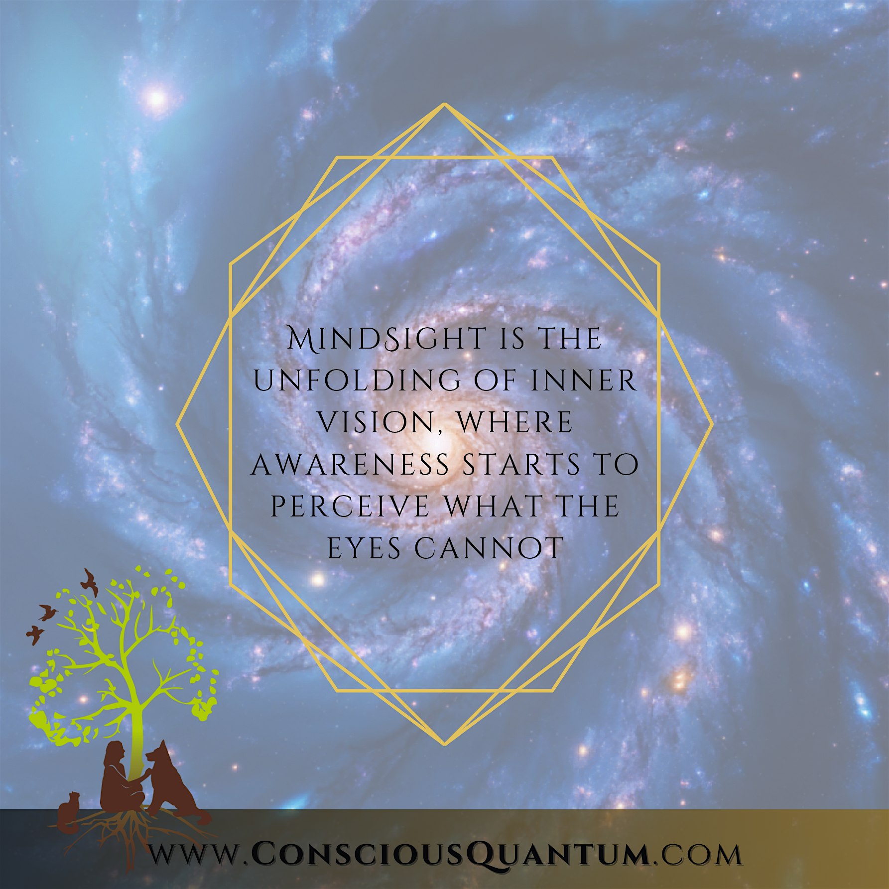 MindSight Training Vancouver | Expanded Perception