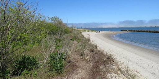 Plumb Beach Cleanup on International Coastal Cleanup Day