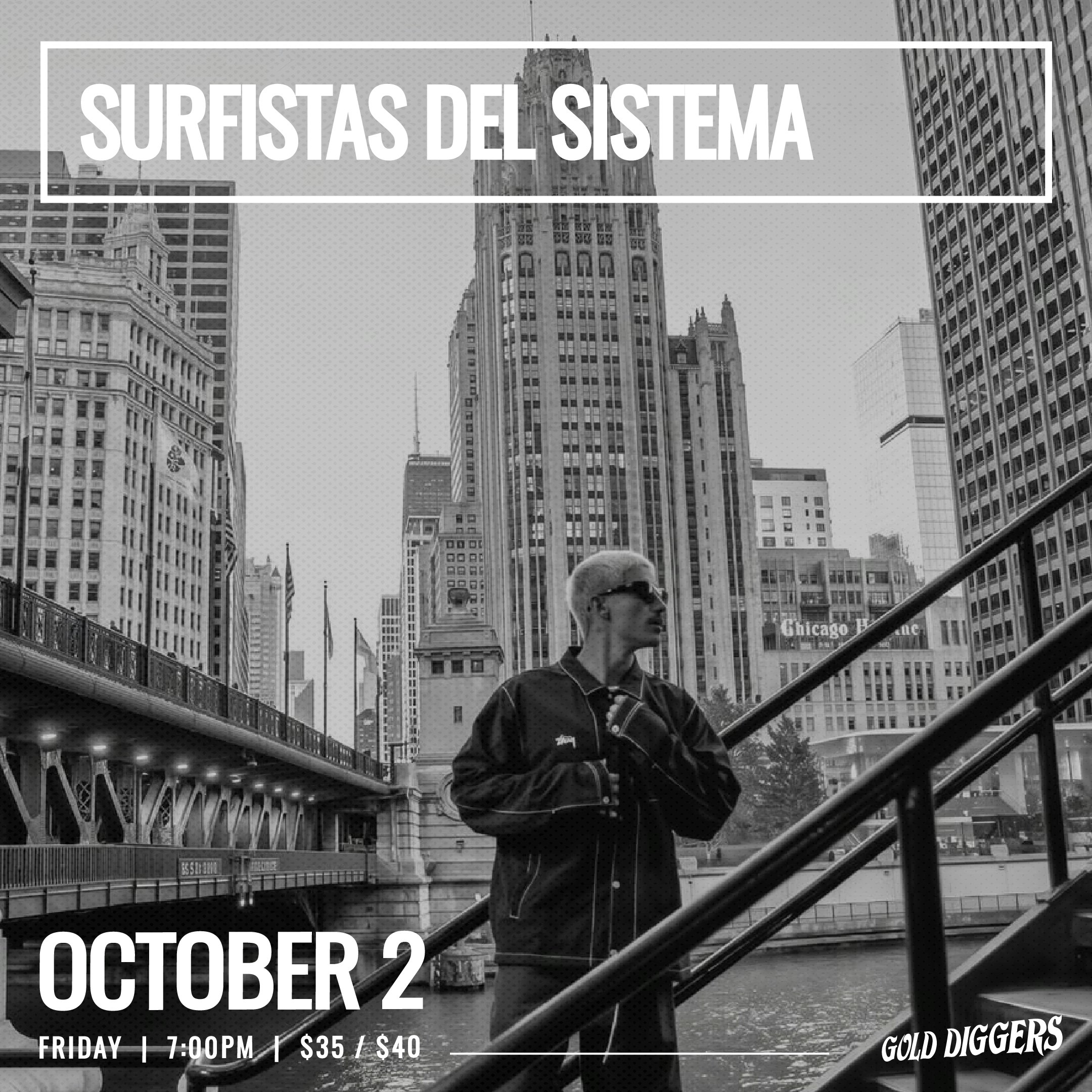 Surfistas Del Sistema