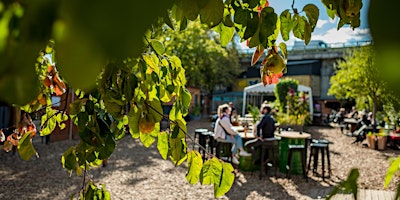 Récolte d'aromatiques du jardin