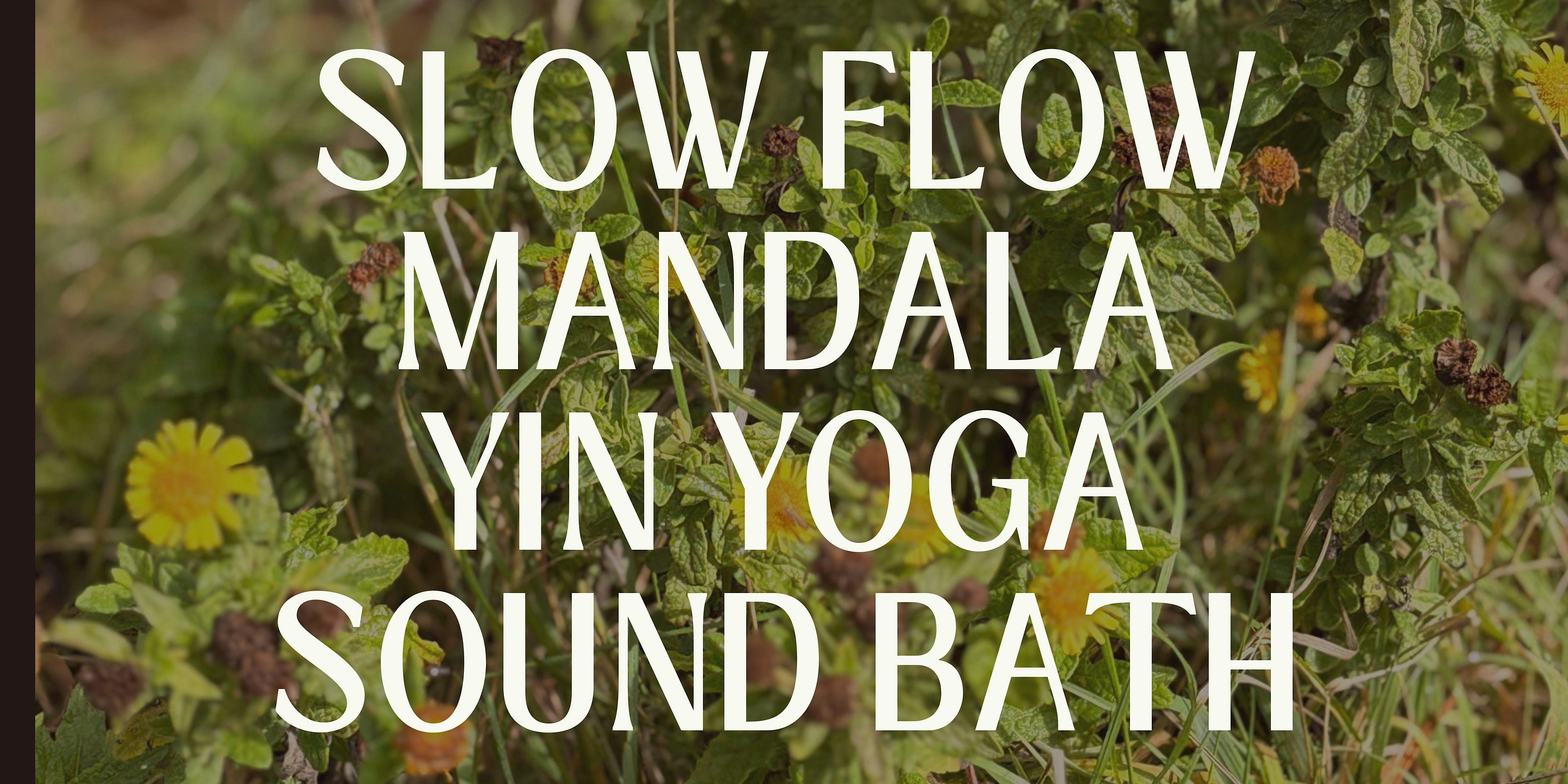 Autumn pause: 4 Wednesday's restorative yoga series & soundbath