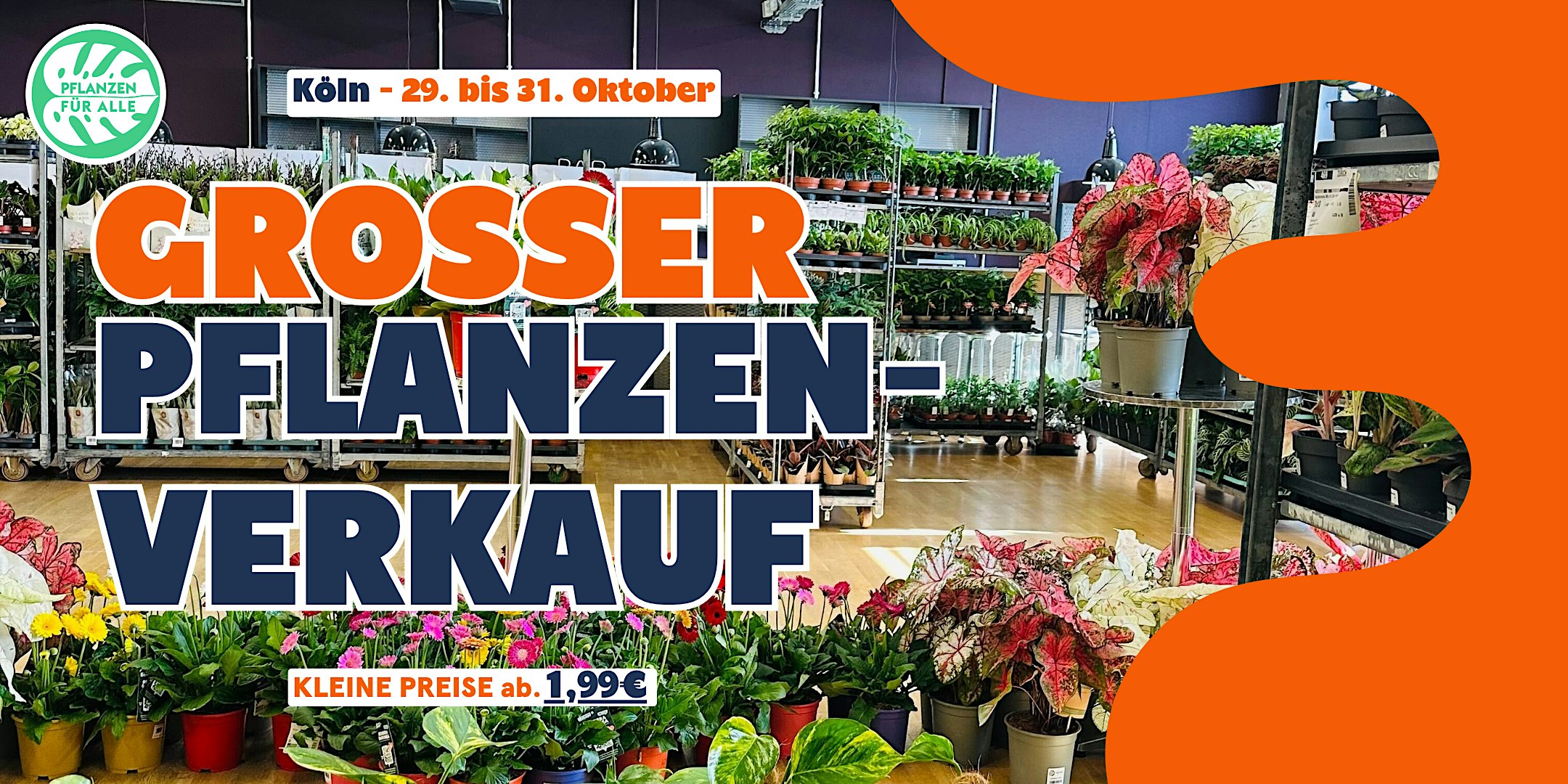 Großer Pflanzenverkauf - Köln