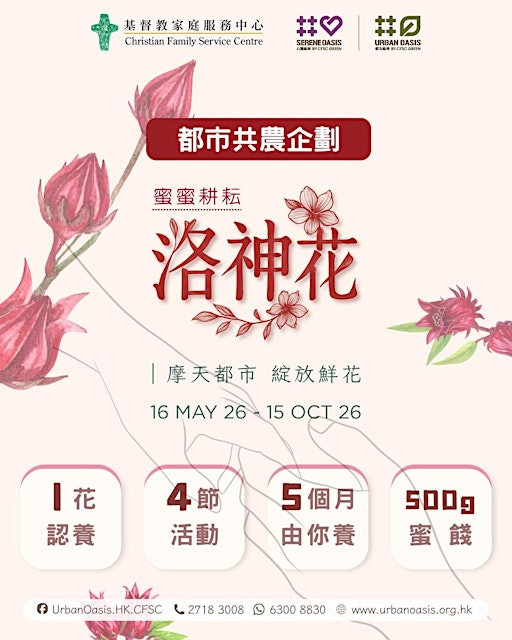 都市洛神花《蜜蜜耕耘》共農企劃 2026