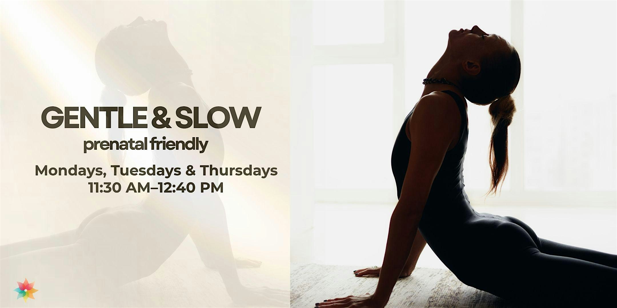 Gentle & Slow Yoga | Prenatal-Friendly | Miami Beach