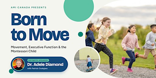 Born to Move: Movement, Executive Function & the Montessori Child