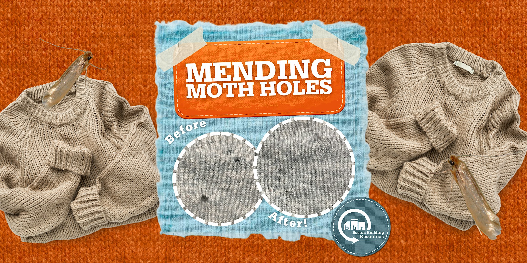 Mending Moth Holes