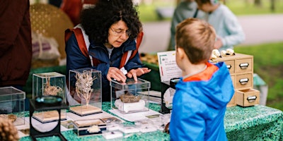 Brompton Cemetery Nature Roadshows