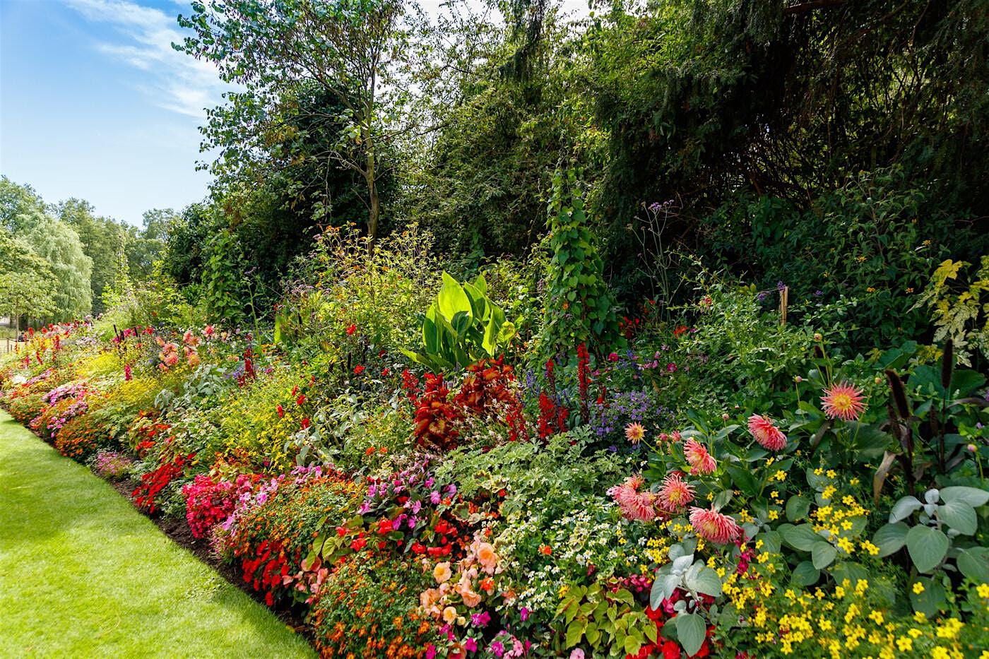 Blooms with a view: Horticulture in St. James's Park