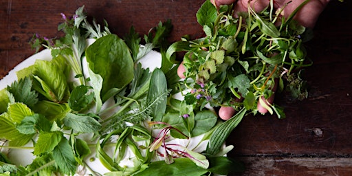 Urban Foraging & Ecology Walk with Edible Alchemy