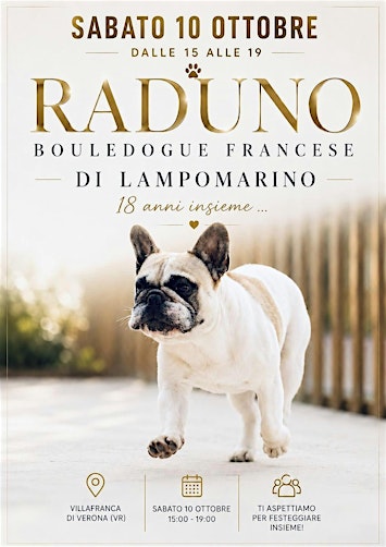 Raduno Bouledogue Francese DLM