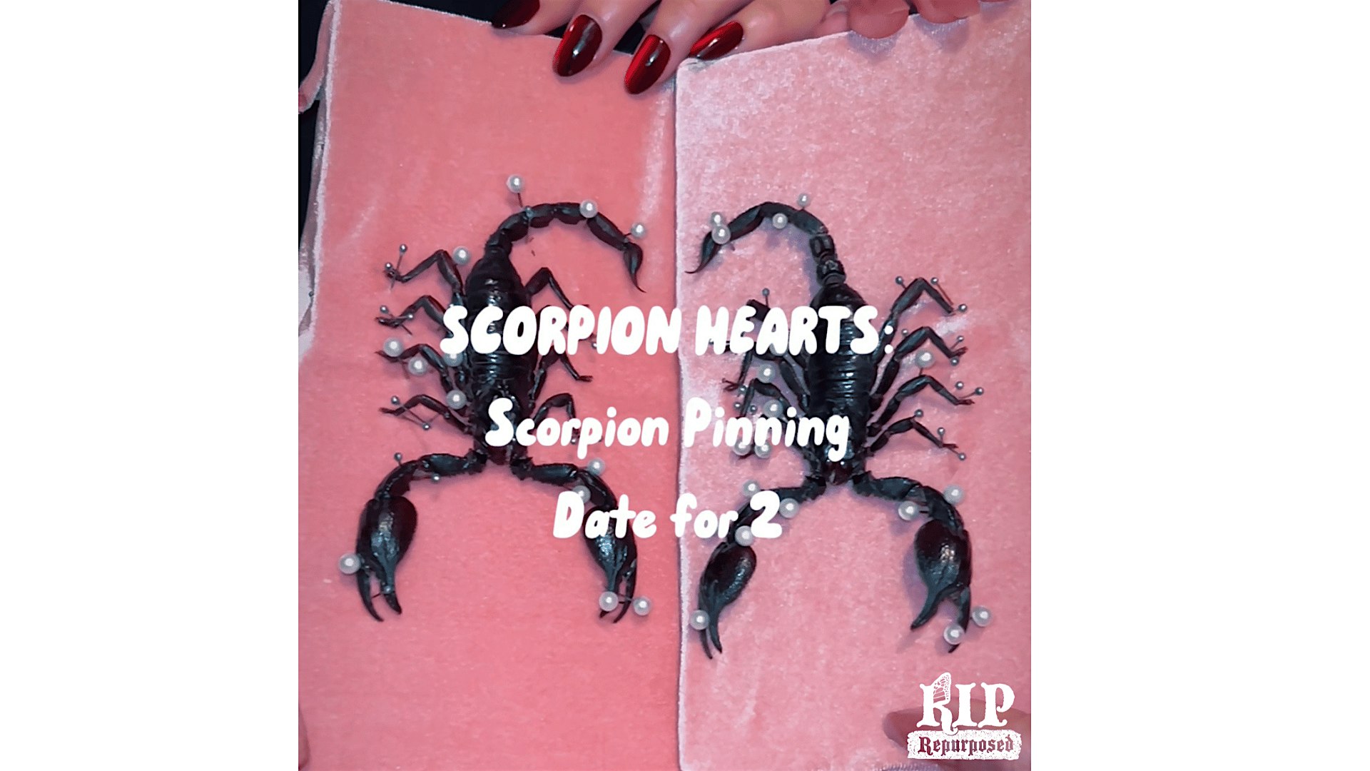 Scorpion Hearts: Pinning Date for 2 with RIP Repurposed
