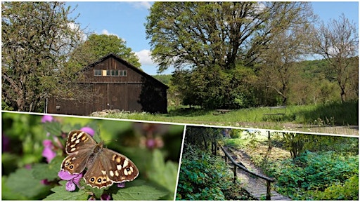 Social Hike: Rosebud Valley