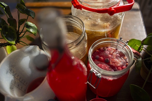 Kombucha Brewing Workshop