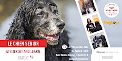 Atelier Sit & Learn - Chien Sénior