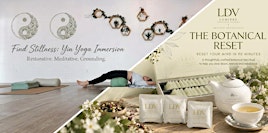 Botanical Reset + Yin Yoga — A Full Afternoon to Restore Body & Mind