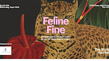 Feline Fine Workout Social for the 35+